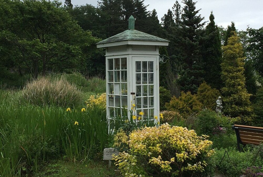 Parler au vent aux pitchs eurogenre du festival europeen du film fantastique de strasbourg